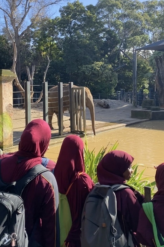 Year 5G: Melbourne Zoo Excursion